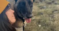 avatar petsitter