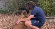 avatar petsitter