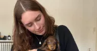 avatar petsitter