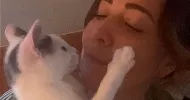 avatar petsitter