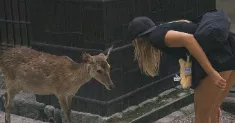 avatar petsitter
