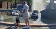 avatar petsitter