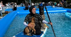 avatar petsitter