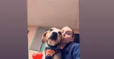 avatar petsitter