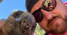 avatar petsitter