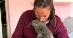 avatar petsitter