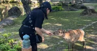 avatar petsitter