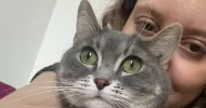 avatar petsitter