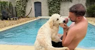 avatar petsitter