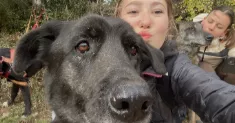 avatar petsitter