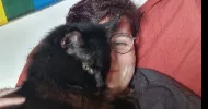 avatar petsitter