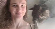 avatar petsitter