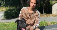 avatar petsitter