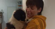 avatar petsitter