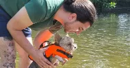 avatar petsitter
