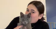 avatar petsitter