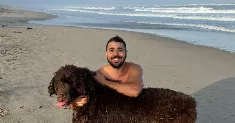 avatar petsitter
