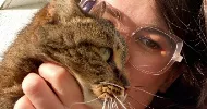 avatar petsitter