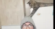avatar petsitter