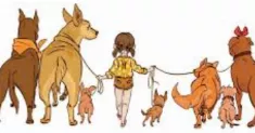 avatar petsitter