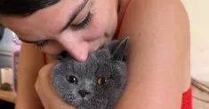 avatar petsitter