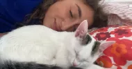 avatar petsitter