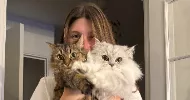 avatar petsitter