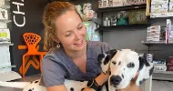 avatar petsitter