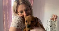 avatar petsitter