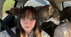 avatar petsitter