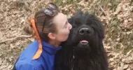 avatar petsitter