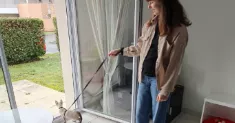 avatar petsitter
