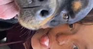 avatar petsitter