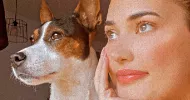 avatar petsitter