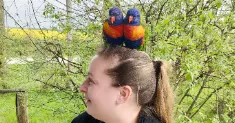 avatar petsitter