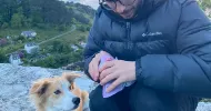 avatar petsitter