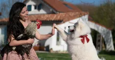 avatar petsitter