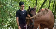 avatar petsitter