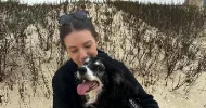 avatar petsitter