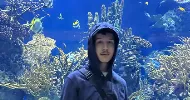avatar petsitter