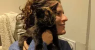 avatar petsitter