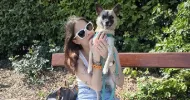 avatar petsitter