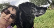 avatar petsitter