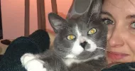 avatar petsitter