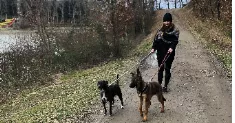avatar petsitter