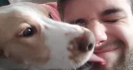 avatar petsitter