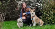 avatar petsitter