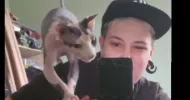 avatar petsitter