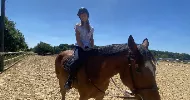avatar petsitter