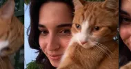 avatar petsitter